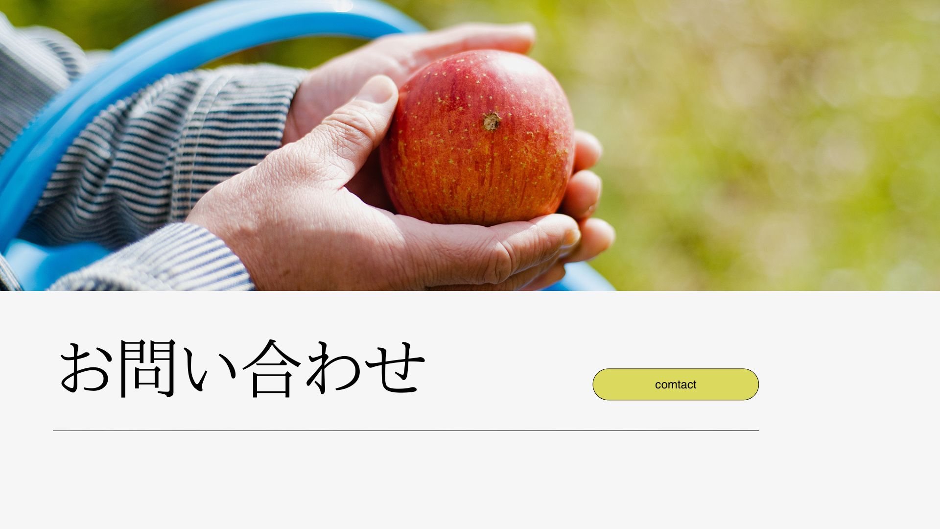 導入事例 | SORENA